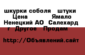 шкурки соболя 3 штуки › Цена ­ 5 000 - Ямало-Ненецкий АО, Салехард г. Другое » Продам   